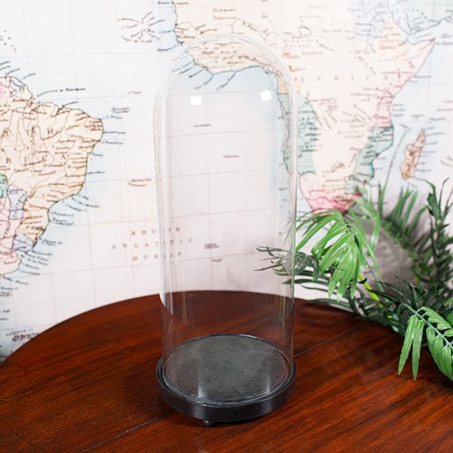 Tall Victorian Antique Display Showcase, English, Glass, Taxidermy Dome, C.1885