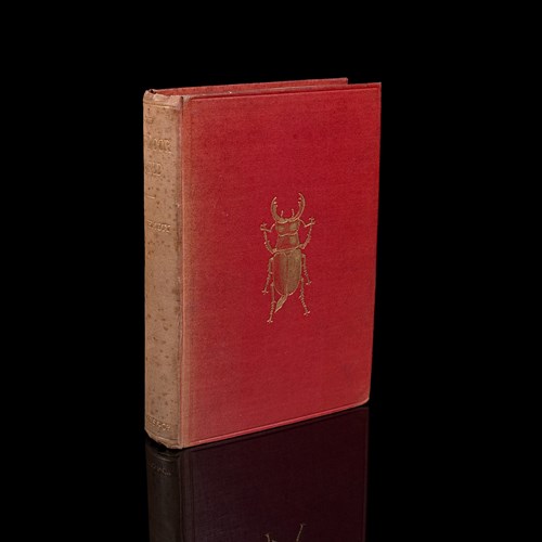 Antique Reference Book, The Outdoor World, English, Natural Interest, George V