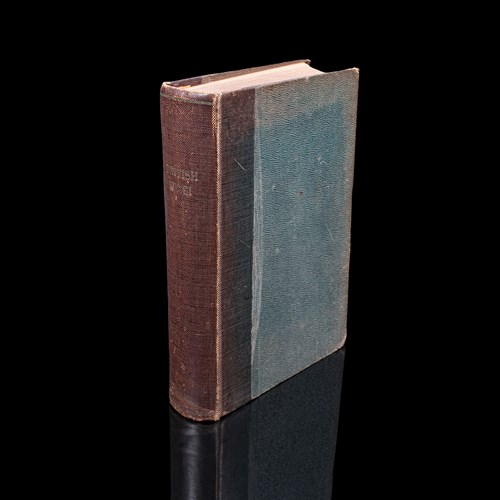 Antique Reference Book, British Fungi, George Massee, English, Natural, Science