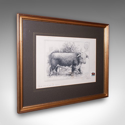 Vintage Hereford Bull Sketch, English, Framed Art, Stamp Proof, Barry Driscoll