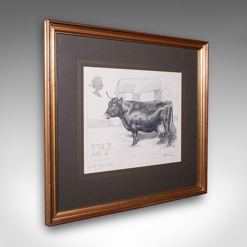Vintage Irish Dexter Cow Proof, English, Framed Artist's Sketch, Barry Driscoll