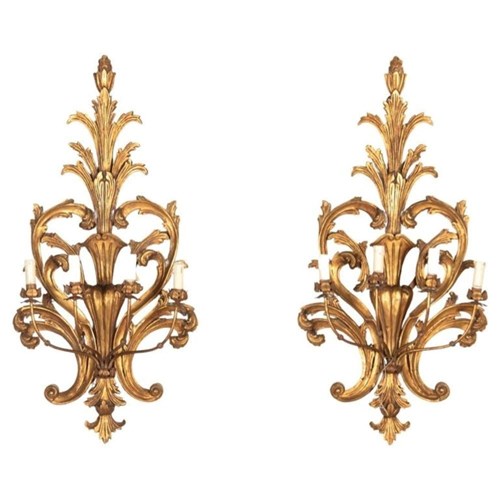 19Th Century Italian Giltwood Wall Lights