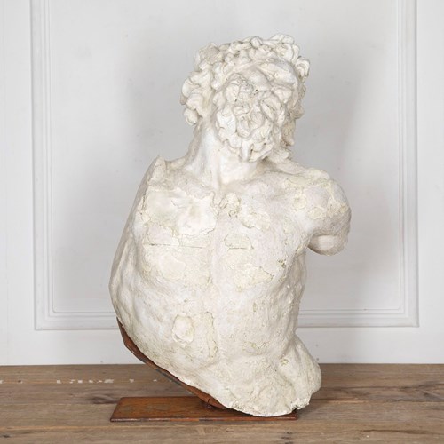 19Th Century French Large Plaster Torso