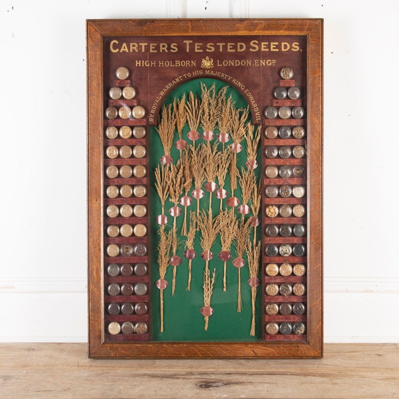 19th Century Carter Tested Seed Wall Display-lorfords-antiques-0-carter-tested-seed-wall-display-1664974643-590252-main-638023304274173068.jpeg