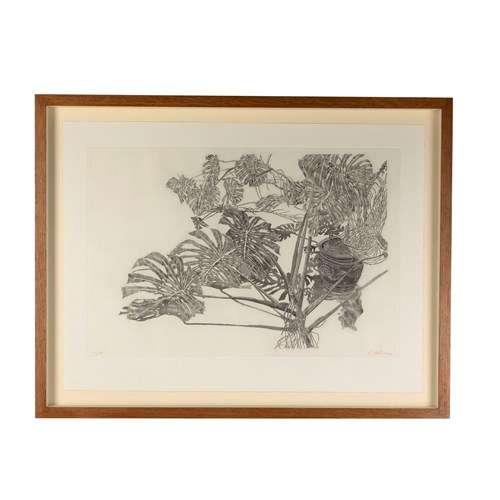 "Philodendron" Aquatint By Sam Szafran