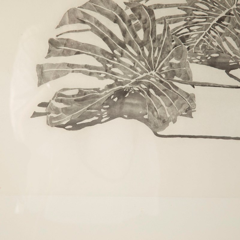 "Philodendron" Aquatint By Sam Szafran-lorfords-antiques-1-sam-szafran-philodendron-1626965655-279595-main-638153124547842181.jpeg