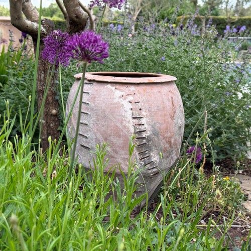 Spanish 19Th Century Olive Jar