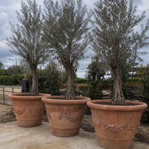 Italian Terracotta Planters