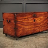19th Century Military Camphor Wood Trunk