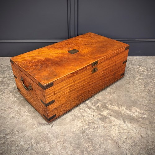 19Th Century Camphor Wood Trunk