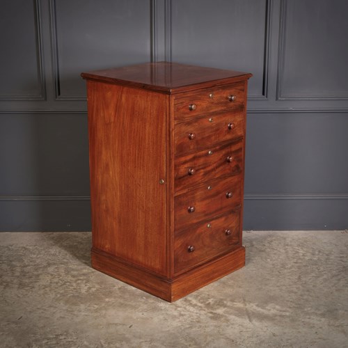 19Th Century Mahogany Pedestal Cupboard