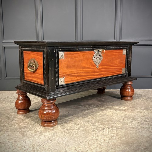 Large Ceylonese Camphor Wood & Ebony Trunk