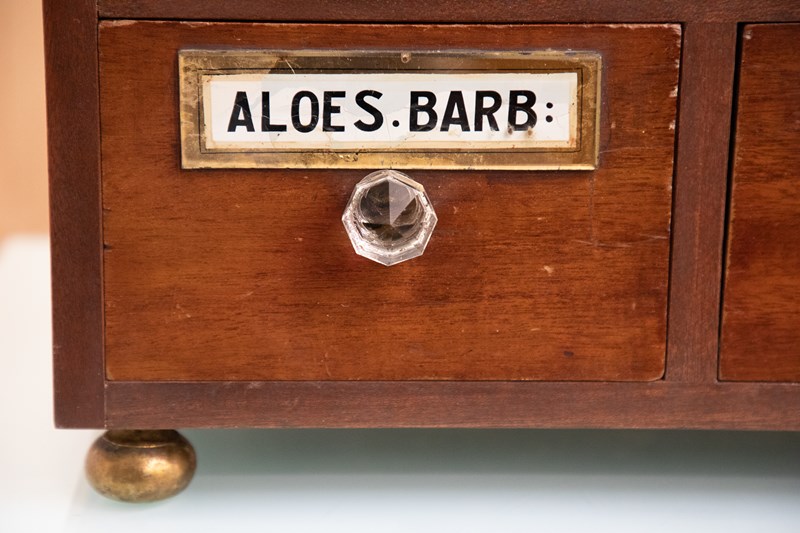 19Th Century Apothecary Drawers-luke-arnold-antiques-20230815--b8a2060-main-638296308578812118.jpg