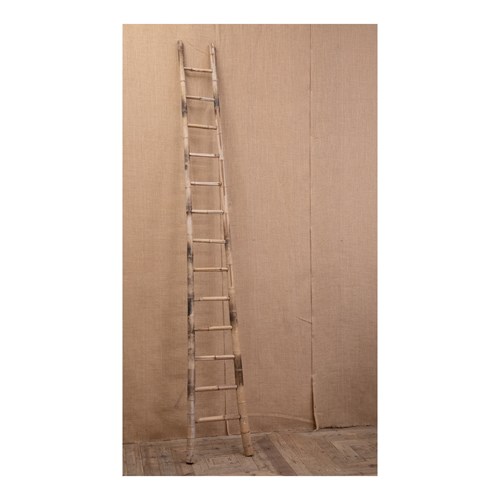 19Th Century Oriental Bamboo Ladder 