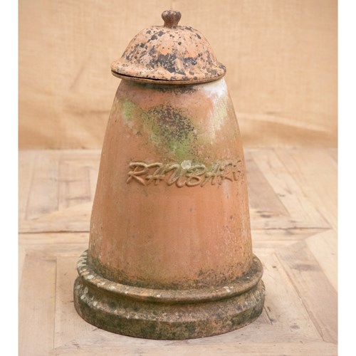 Very Large Terracotta Rhubarb Forcer