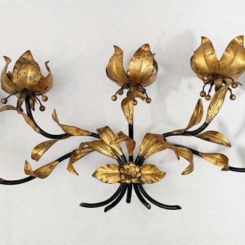 Hans Kögl Wall Light