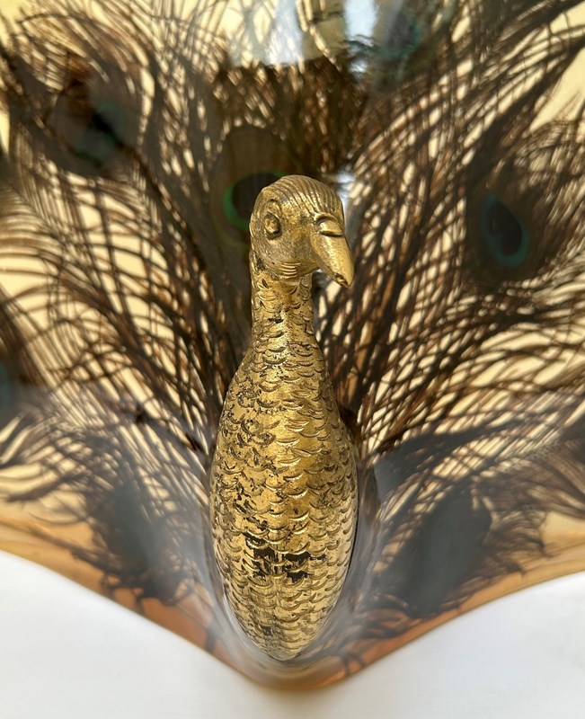 Lucite And Brass Peacock Lamp-lv-art-design-peacock-lamp-detail-main-638085965573321773.jpg