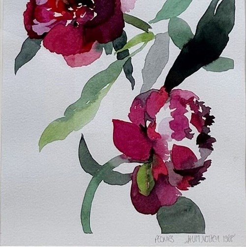 Peonies By Sally Notley