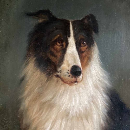 19Th C. Dog Portrait Oil Painting - 'Black Collie'