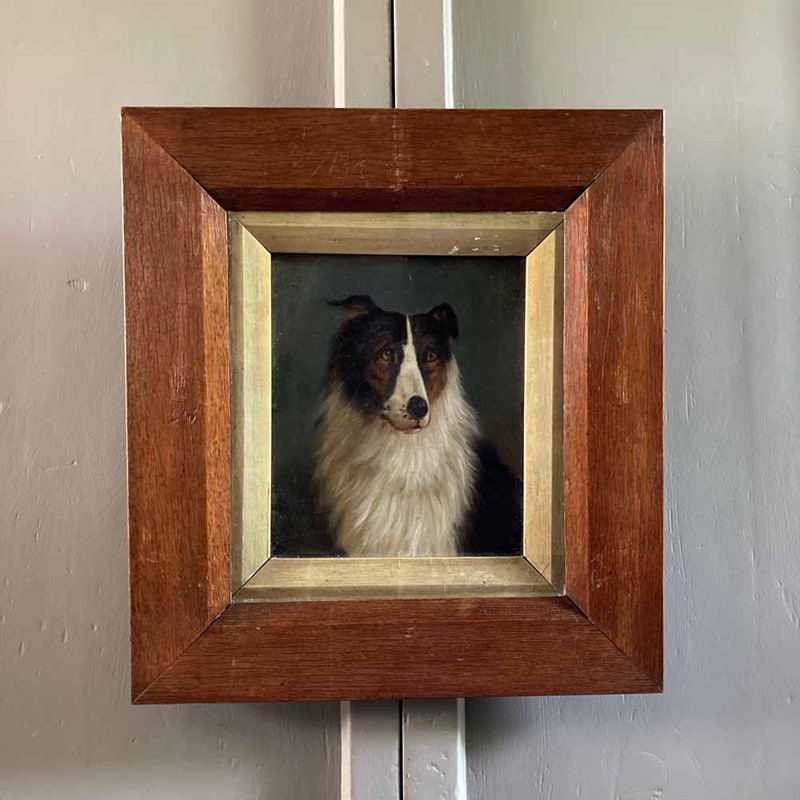 19Th C. Dog Portrait Oil Painting - 'Black Collie'-marc-kitchen-smith-ks7262-img-2026-1000px-main-637591825952423830.jpeg