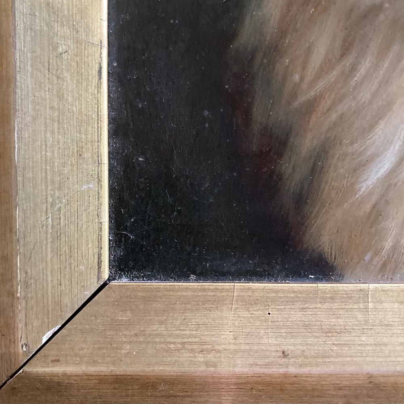 19Th C. Dog Portrait Oil Painting - 'Black Collie'-marc-kitchen-smith-ks7262-img-2035-1000px-main-637591825956798815.jpeg