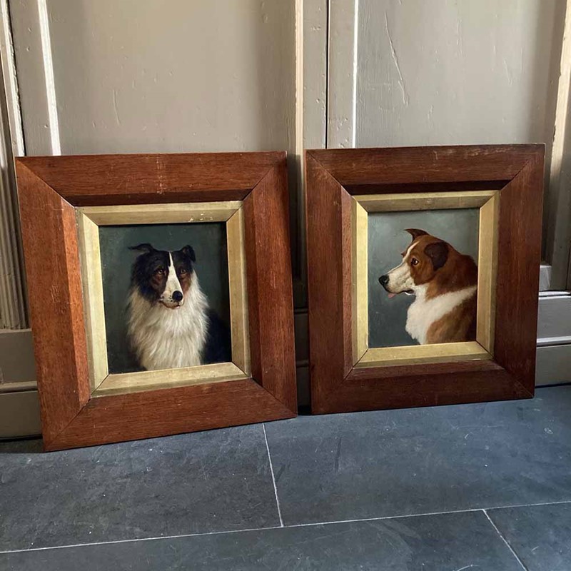 19th C. dog portrait oil painting - 'Brown Collie'-marc-kitchen-smith-ks7262-ks7265-img-2043-1000px-main-637591834310050906.jpeg