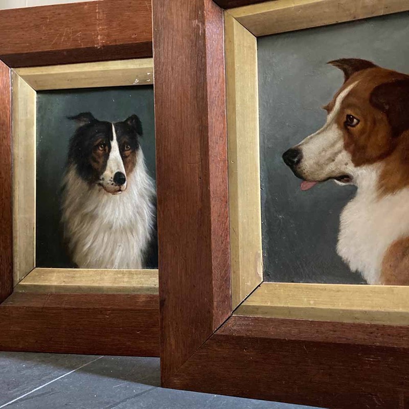 19Th C. Dog Portrait Oil Painting - 'Brown Collie'-marc-kitchen-smith-ks7262-ks7265-img-2061-1000px-main-637591834316617424.jpeg