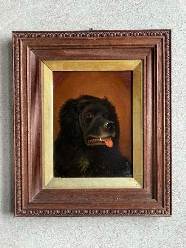 Antique Newfoundland Dog Portrait-marc-kitchen-smith-ks7264-img-7314-1000px-main-637835395793759688.jpg