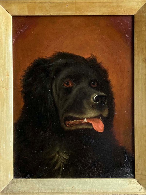 Antique Newfoundland Dog Portrait-marc-kitchen-smith-ks7264-img-7314ed-1000px-main-637835395801103158.jpg