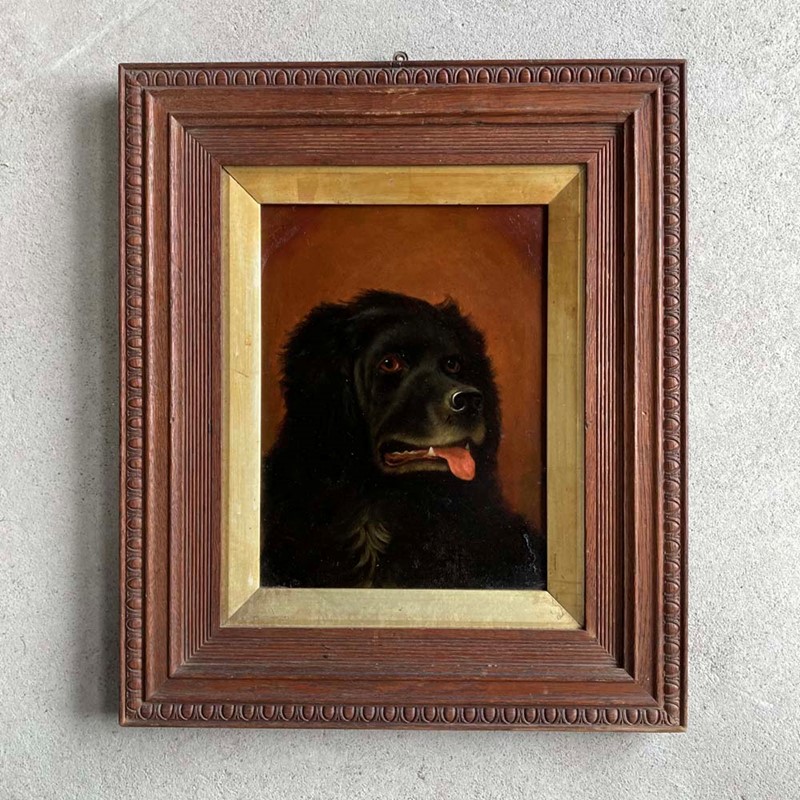Antique Newfoundland Dog Portrait-marc-kitchen-smith-ks7264-img-7316-1000px-main-637835395808759399.jpg