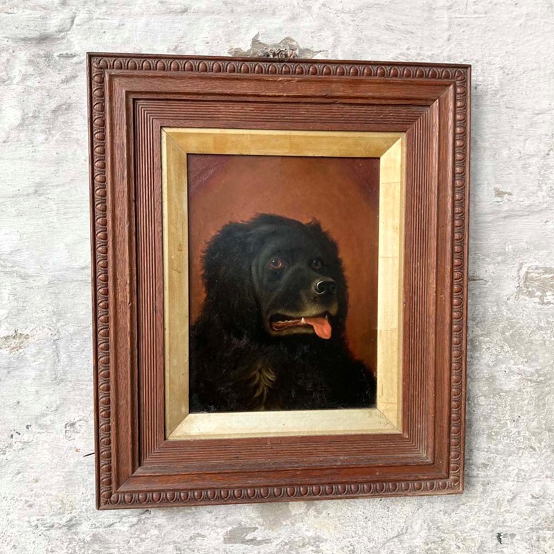 Antique Newfoundland Dog Portrait-marc-kitchen-smith-ks7264-ks7264-img-5899-1000px-main-637835395833603040.jpg