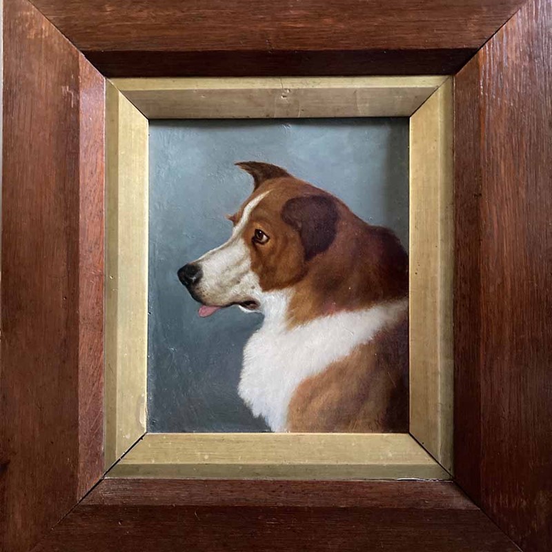 19th C. dog portrait oil painting - 'Brown Collie'-marc-kitchen-smith-ks7265-img-2048-1000px-main-637591834363019510.jpeg