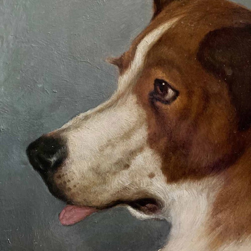 19th C. dog portrait oil painting - 'Brown Collie'-marc-kitchen-smith-ks7265-img-2065-1000px-main-637591834148957858.jpeg