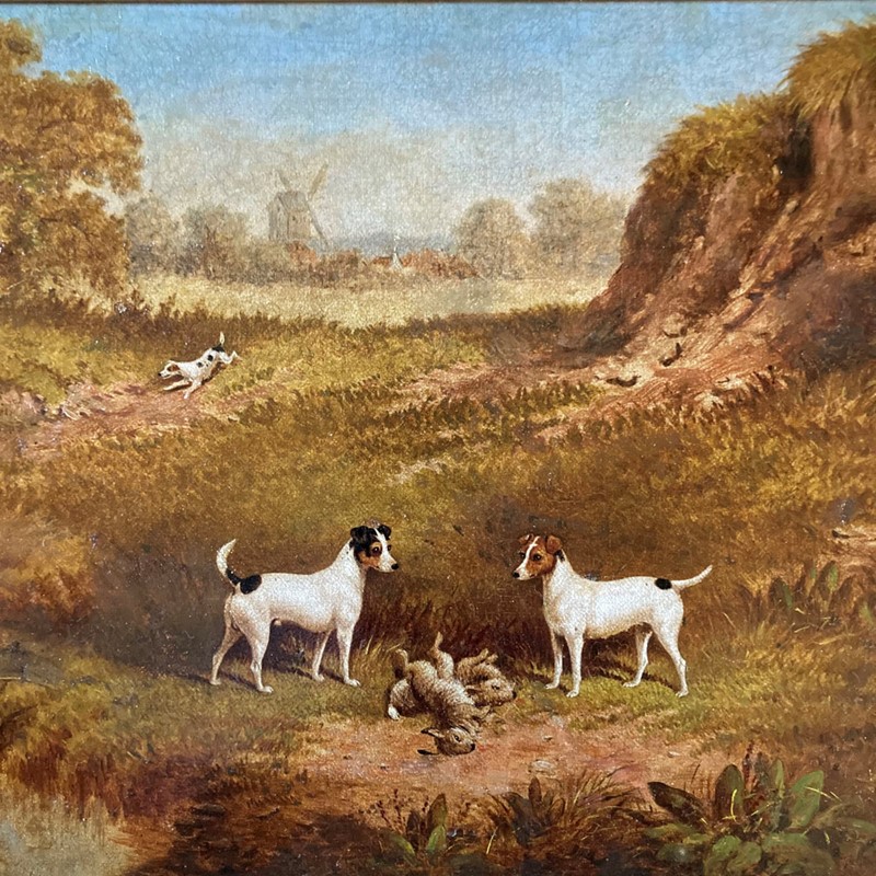 19Th C. Jack Russell Terriers Painting-marc-kitchen-smith-ks7341-img-5693-1000px-main-637798473336547774.jpg