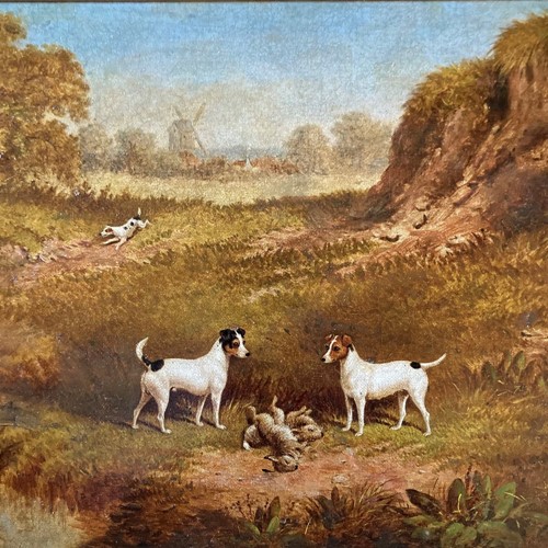 19Th C. Jack Russell Terriers Painting
