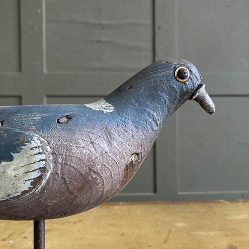 Vintage Pigeon Decoy - Harry Boddy #1