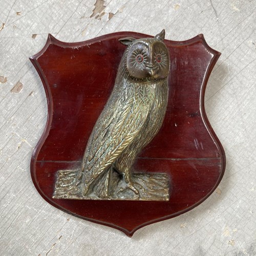 Edwardian Bronze Owl Plaque