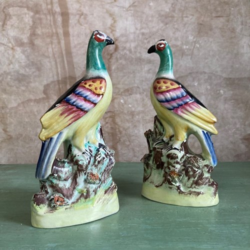 Antique Staffordshire Pottery Pigeons