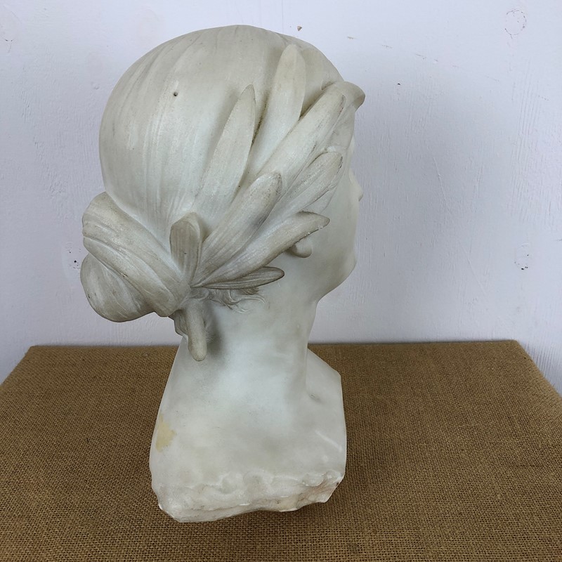 An Early 20thC French classical Female bust -marchand-antiques-7e448c20-4ef7-4b31-8e13-0612275d358e-main-638033589433873274.jpeg