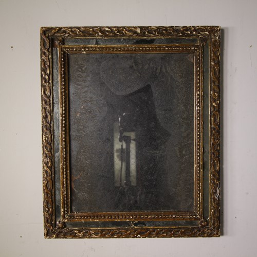 18Th Century Italian Antique Carved Pine Gilt Mirror 