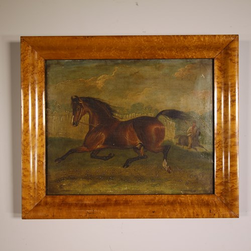 Lovely English 19Th Century Antique Horse Oil Painting In Maple Frame