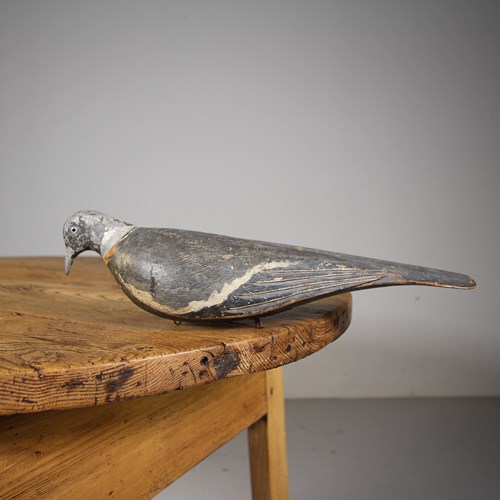 Original English 19Th Century Antique Decoy Pigeon 