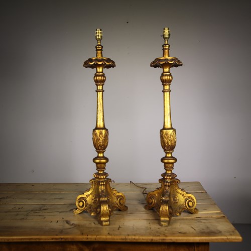 Pair Of Large Carved 19Th Century Gilt Table Lamps