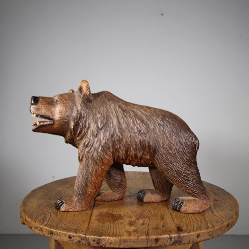Large Swiss Edwardian Antique Stroller Bear Signed By J. Reuf 