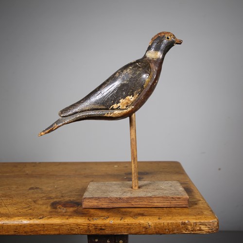 Original 19Th Century English Antique Decoy Pigeon