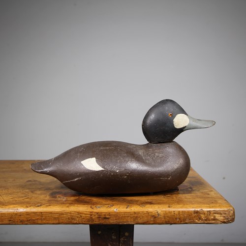 Original English Edwardian Antique Decoy Duck