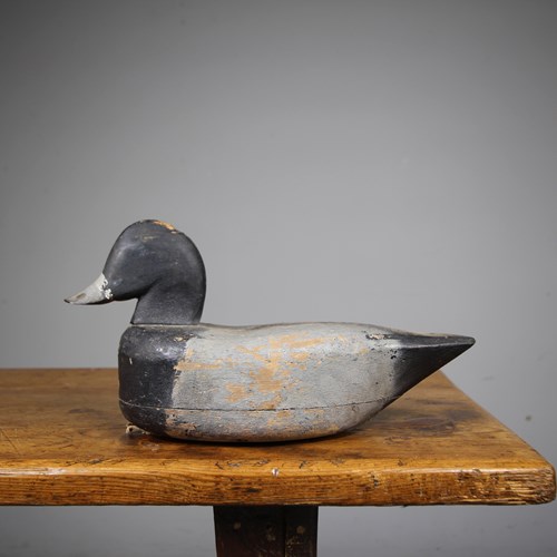 Honest English Edwardian Antique Decoy Duck – Stamped 