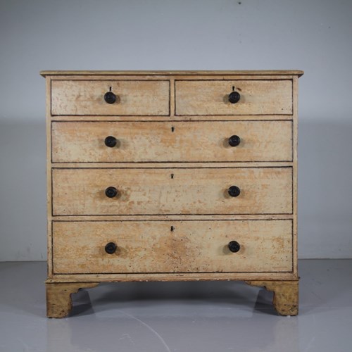 Regency Original Painted Pine Antique Chest Of Drawers