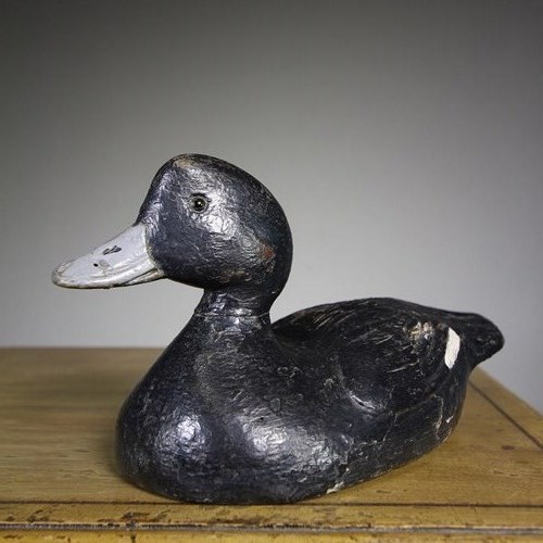 English 19Th Century Antique Decoy Duck