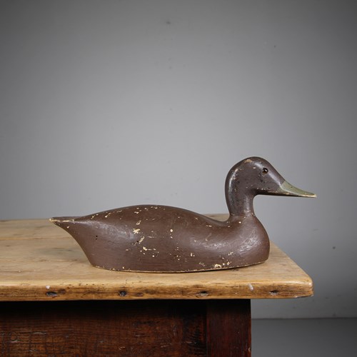 English 19Th Century Antique Decoy Duck 